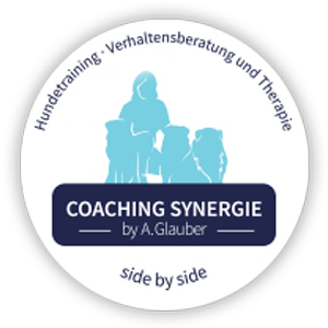 Coaching Synergie